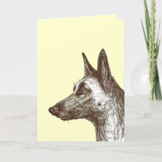 dessin malinois kort