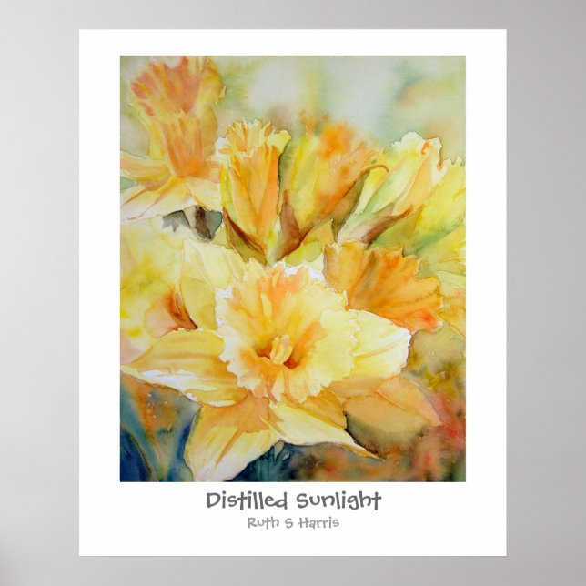 Destillerat solljus poster (Framsidan)