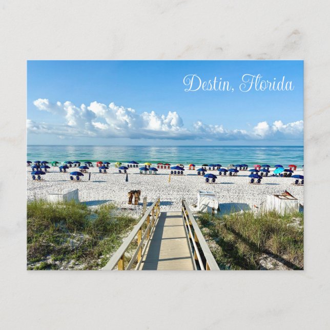 Destin Florida Söt Beach Umbrellas Photography Vykort (Framsida)