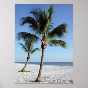 Destin Florida strand Poster