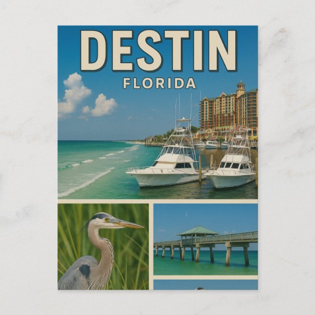 Destin Florida Travel Postcard Vykort (Framsida)