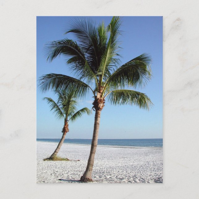 Destin Florida Vykort (Framsida)