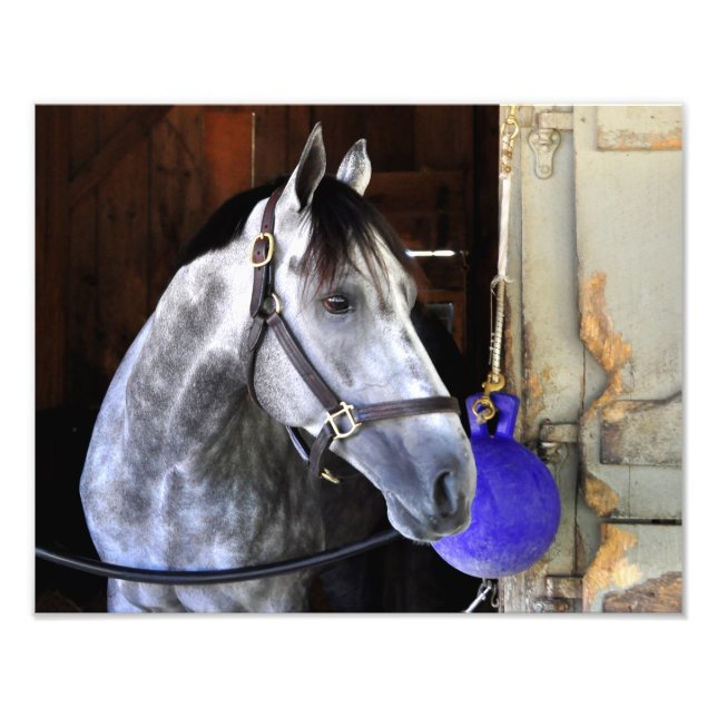 Destin Fototryck (Framsidan)