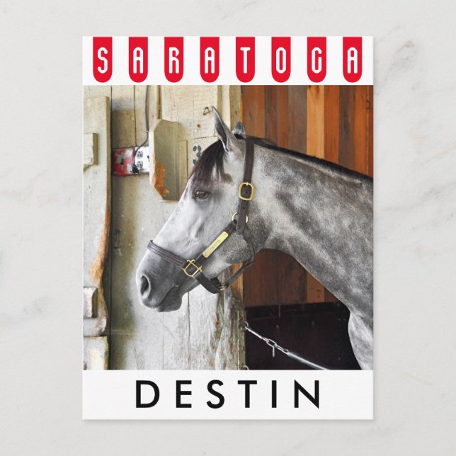 Destin - Horse Haven Vykort (Framsida)