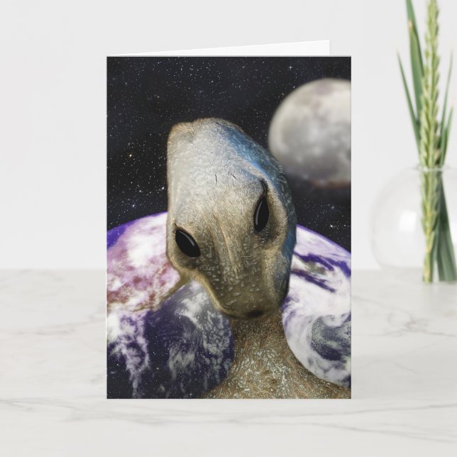 Destinationsjord Kort (Framsida)