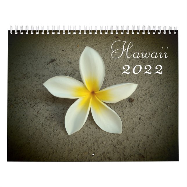 Destinationskalender för Hawaii 2022 Kalender (Omslag)