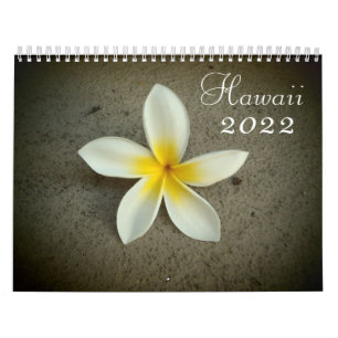 Destinationskalender för Hawaii 2022 Kalender