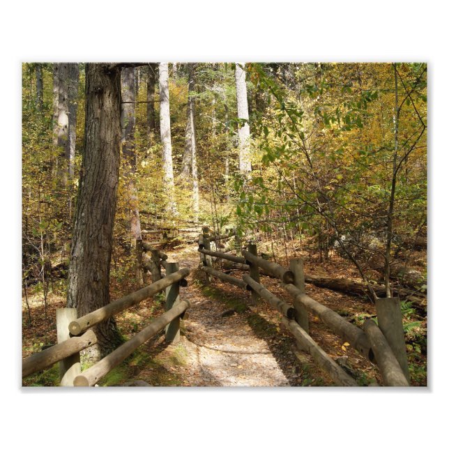 Destiny 10x8-fotoutskrift fototryck (Framsidan)