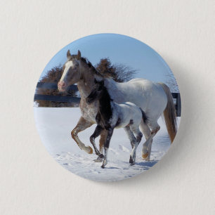 Destiny Animal Horses Winter Snö Peace Kärlek Knapp