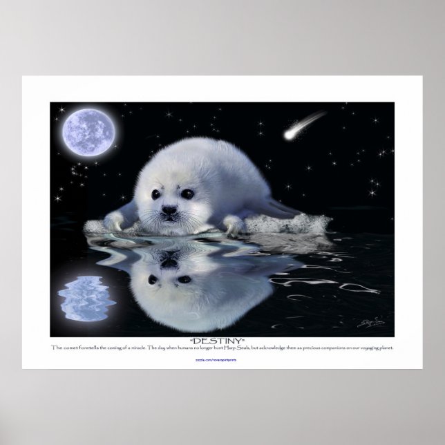"Destiny" ~ HARP SEAL & MÅNE Art Poster (Framsidan)