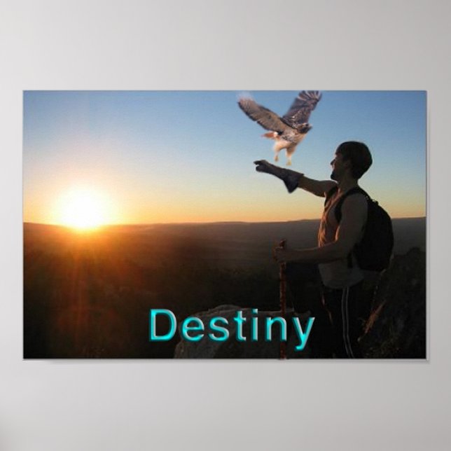 Destiny Poster (Framsidan)