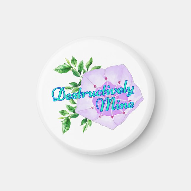 Destructively Mine Magnet (Framsidan)