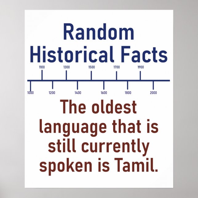 Det äldsta språket - Historikfakta Poster (Framsidan)