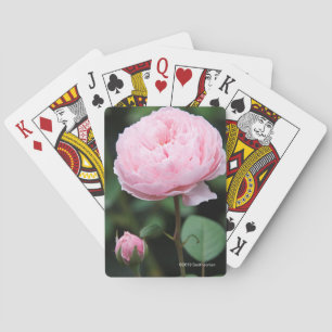Det Alnwick slottet steg Casinokort