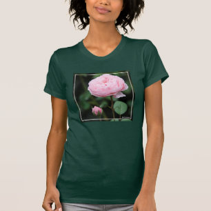 Det Alnwick slottet steg T Shirt
