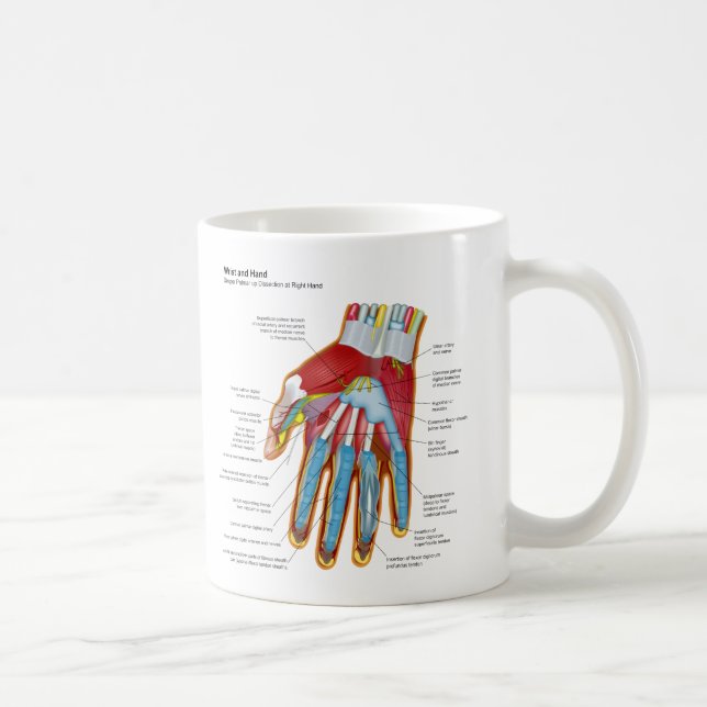Det Anatomical diagrammet av människan räcker och Kaffemugg (Höger)