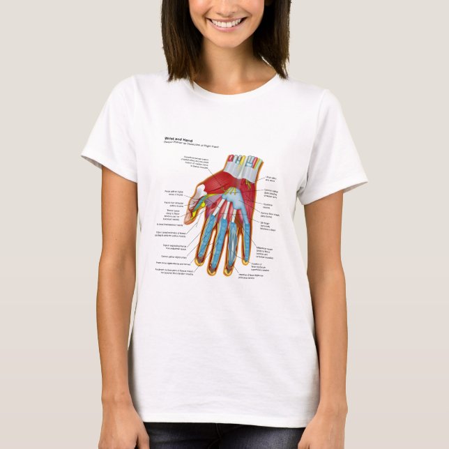 Det Anatomical diagrammet av människan räcker och T Shirt (Framsida)
