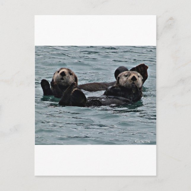 Det andra paret vykort (Framsida)