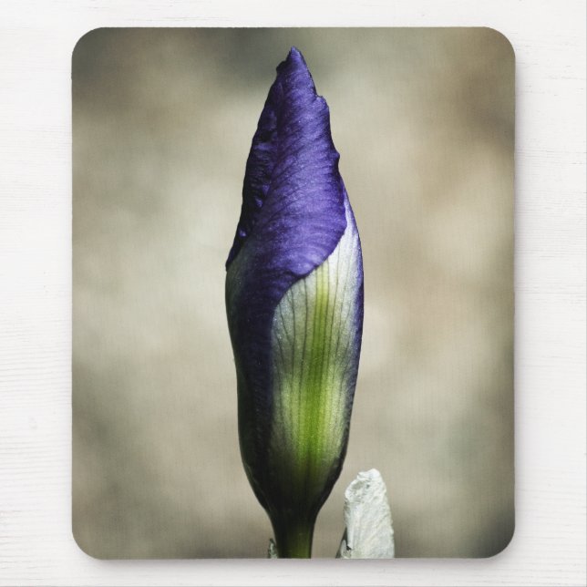 Det ankommande Beauty Mousepad Musmatta (Framsidan)
