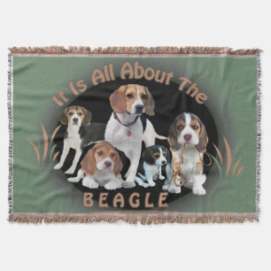 Det är All om Beaglefilten Filt