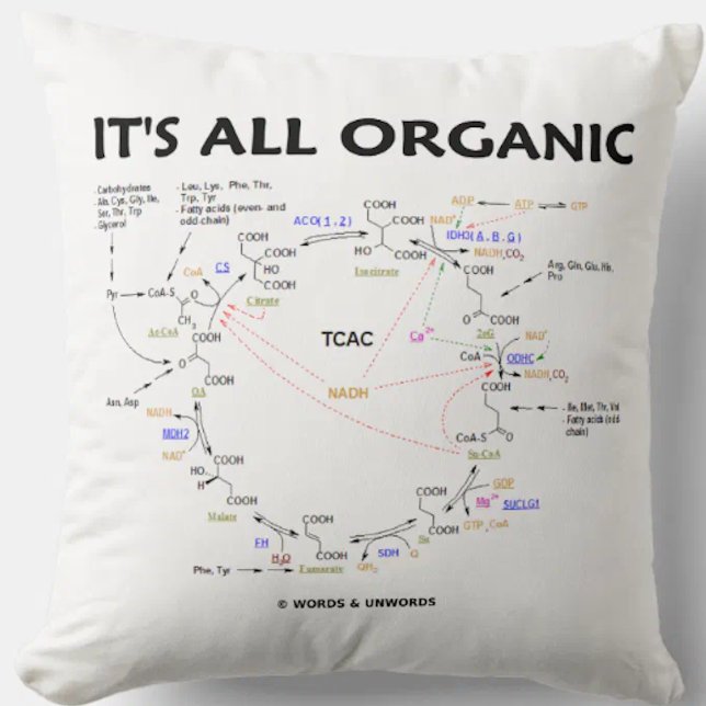 Det är alla organiska kretsar som cyklar citronsyr kudde (O-Chem attitude throw pillow with the Krebs cycle (ctiric acid cycle, tricarboxlylic acid cycle))