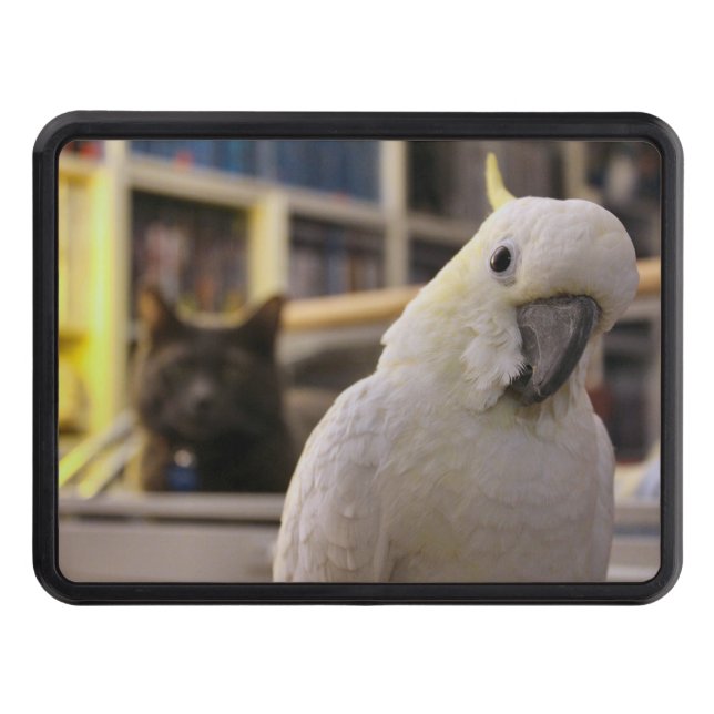 Det är bakom mig..Eller hur? Dragkroksskydd (Framsidan)