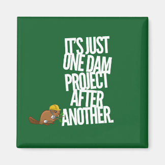 Det är bara ett dammprojekt efter ett annat magnet