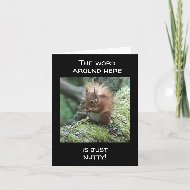 DET ÄR BARA "NUTTY" SOM INTE KAN STÅ "40" KORT (Framsida)