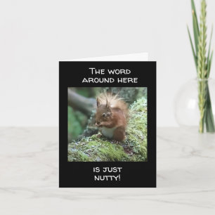 DET ÄR BARA "NUTTY" SOM INTE KAN STÅ "40" KORT