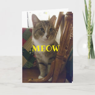 DET ÄR BÄTTRE ÄN EN MUS ATT HÖRA DIG. *60*!  KORT