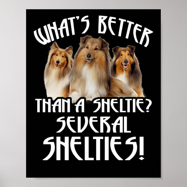 Det är bättre än en Sheltie flera Shelties! Poster (Framsidan)