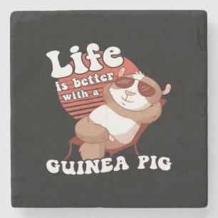 Det är bättre för Guineas Gris att stänga Guinea G Stenunderlägg