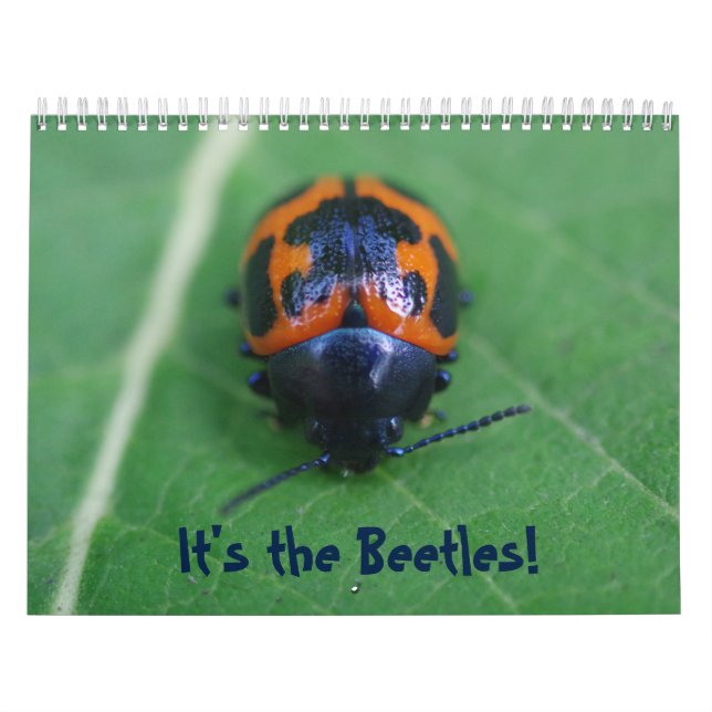 Det är Beetles! Insekt Kalender (Omslag)