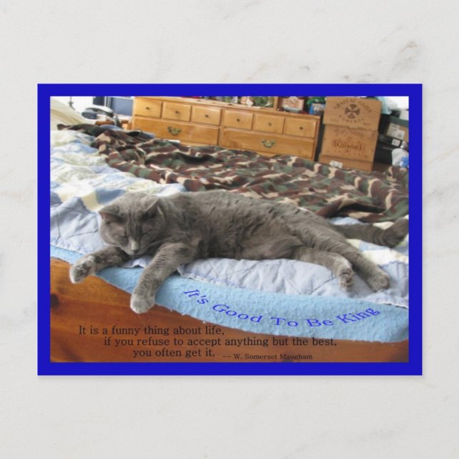 Det är Bra att vara Kung Vykort (Framsida)