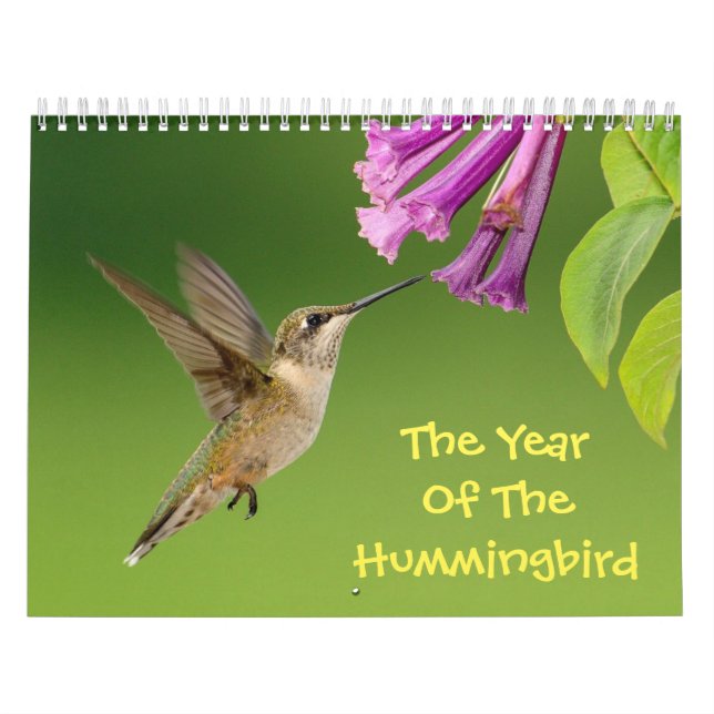 Det år då kalender för Hummingbird (Omslag)