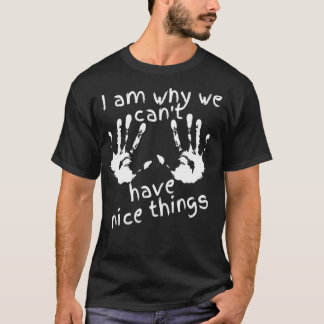 Det är därför vi inte kan ha sak... t shirt