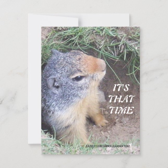 Det är den den Time Groundhogs daginbjudan Inbjudningar (Framsida)