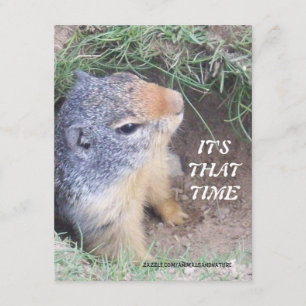 Det är den den Time Groundhogs daginbjudan Inbjudningar