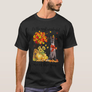 Det är den mest underbara hösttiden Xoloitzcuintli T Shirt