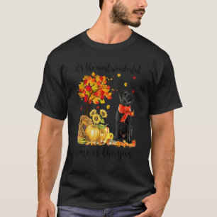 Det är den mest underbara hösttids labradobb t shirt
