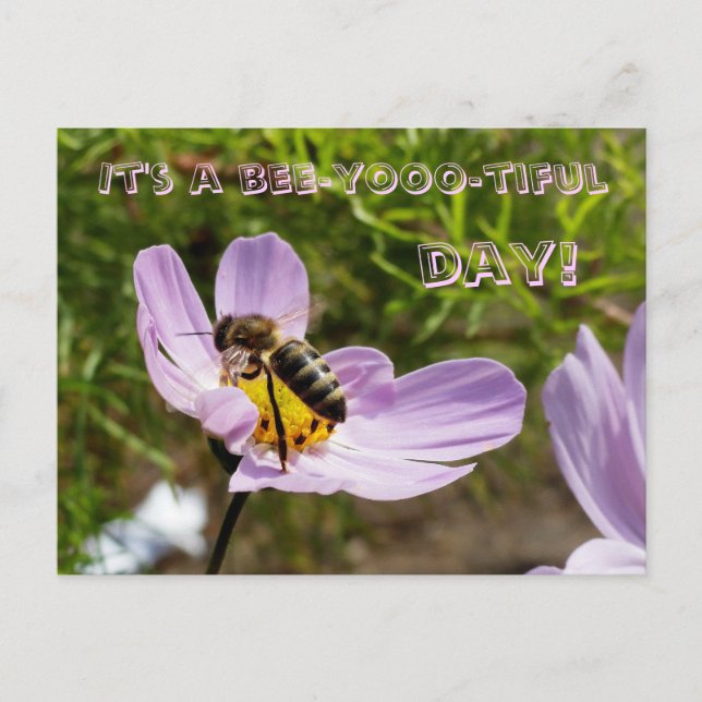 Det är en bijokerlig dag! / Bee Poscard Vykort (Framsida)