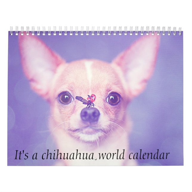Det är en Chihuahua World Calendar Kalender (Omslag)