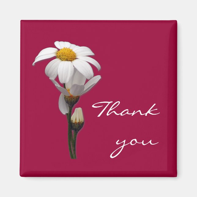Det är en daisy värld magnet (Framsidan)
