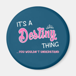 Det är en Destiny sak du inte skulle förstå Magnet