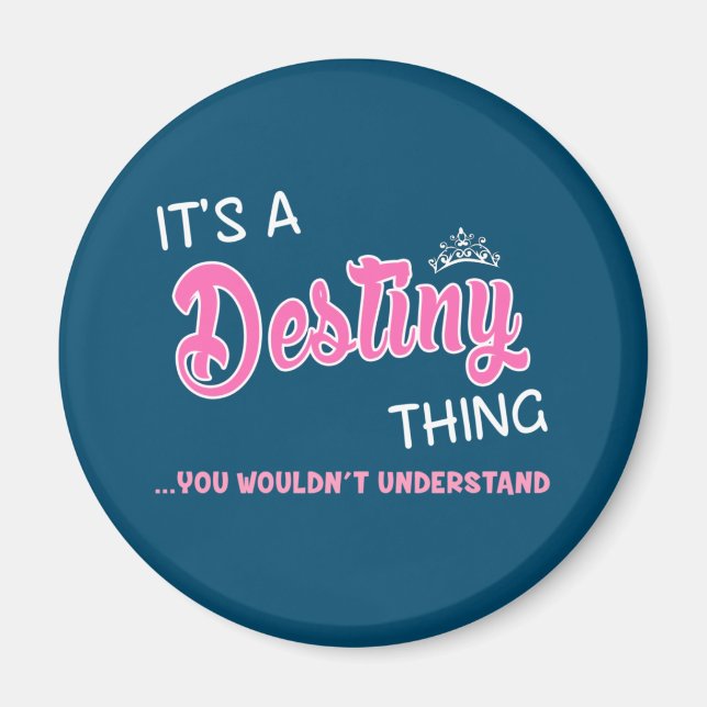 Det är en Destiny sak du inte skulle förstå Magnet (Framsidan)