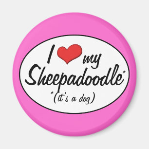 Det är en hund! Jag älskar min Sheepadoodle Magnet