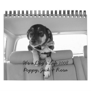 Det är en hund liv 2008 kalender