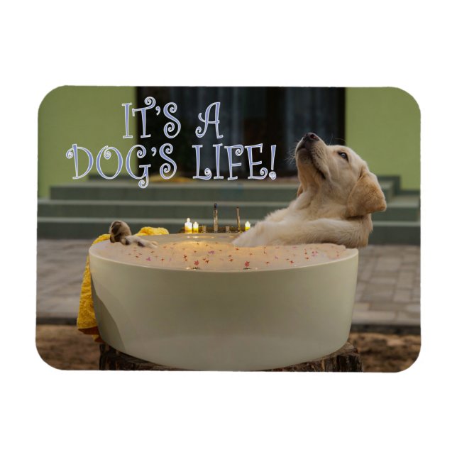 Det är en hundar livsmagnet magnet (Horisontell)