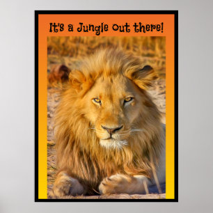 Det är en Jungle där ute! Poster