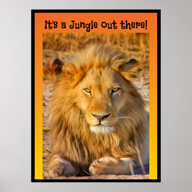 Det är en Jungle där ute! Poster (Framsidan)